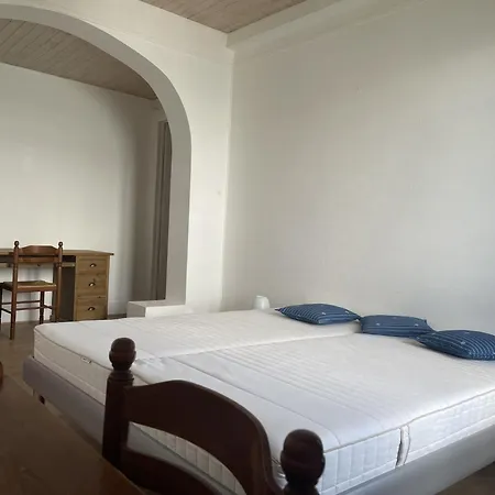 Moderne Pres Des Thermes Avec Balcon Et Animaux Admis - Fr-1-498-68